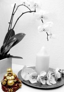 Esthetic for You Wellness Oase Lilienthal-Worphausen Esthetic for You Wellness Oase Lilienthal-Worphausen